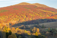 BIESZCZADY-11