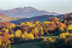 BIESZCZADY-9
