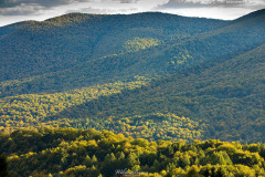 BIESZCZADY-POLONINA-CARYNSKA-18