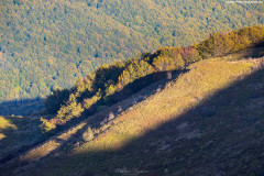 BIESZCZADY-POLONINA-CARYNSKA-22
