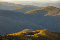 BIESZCZADY-POLONINA-CARYNSKA-27