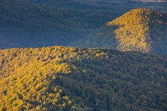 BIESZCZADY-POLONINA-CARYNSKA-28