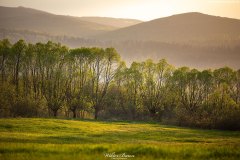 BIESZCZADY-TARNAWA-10