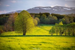 BIESZCZADY-TARNAWA-14