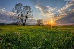 BIESZCZADY-TARNAWA-16