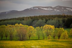 BIESZCZADY-TARNAWA-17