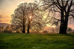 BIESZCZADY-TARNAWA-20