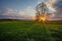BIESZCZADY-TARNAWA-4