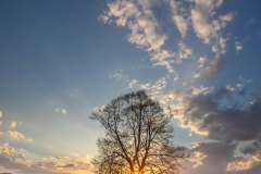 BIESZCZADY-TARNAWA-5