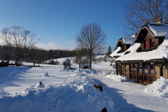 BORSUCZYNA-BUDYNEK-Z-ZEWNATRZ-20