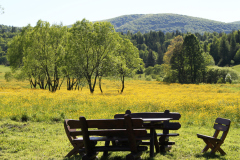 BORSUCZYNA-BUDYNEK-Z-ZEWNATRZ-49