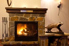 BORSUCZYNA-POKOJE-18