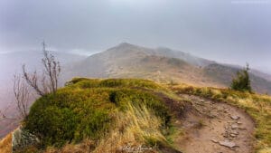 BIESZCZADY - TARNICA